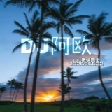 DJ阿欧-2020BbreakBeat慢摇串烧[www.djt8.com].m4a