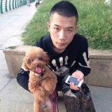 李涛