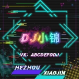 贺州DJ小锦-全中文Prog音乐哟 哟是谁在唱歌串烧