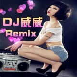 汤晶锦 天亮了(Dj贺仔 Mix 国语女)[www.djt8.com].m4a